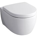 Icon wall-mounted washdown toilet