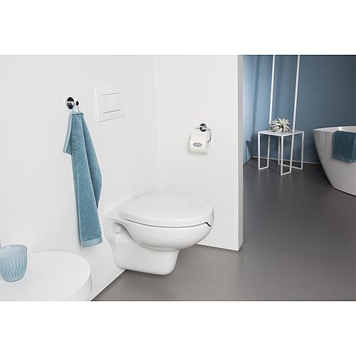 Wall washdown toilet Elida Anwendung 3