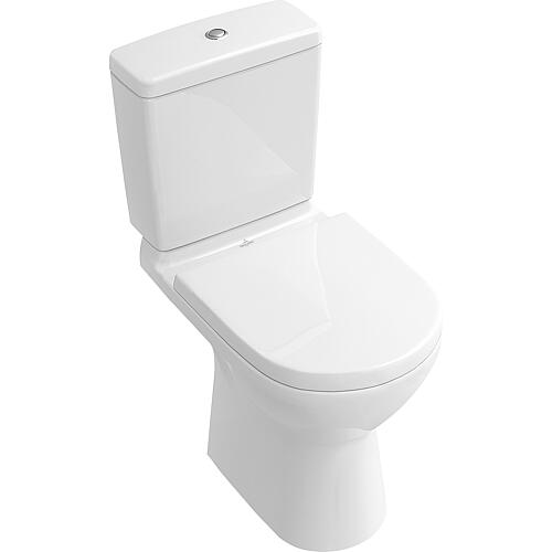 Standing washdown toilet, rimless