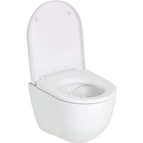 Wand-Tiefspül-WC Pro, erhöht, spülrandlos Anwendung 2