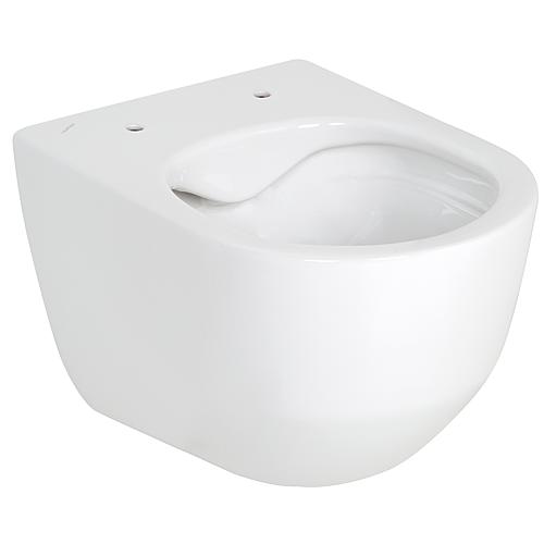 Wand-Tiefspül-WC Pro, erhöht, spülrandlos Anwendung 1