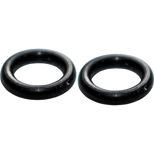 O-Ring für Injektor 6,4x9,5mm VPE 2 Leyco Soft 9+15+NSC 11