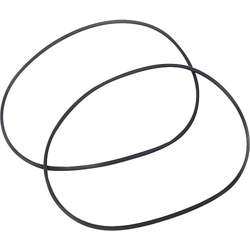 O-ring 198 x 4, 2 units Standard 1
