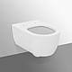 Blend Curve wall-mounted flushdown toilet, AquaBlade Anwendung 2