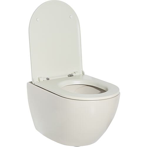 Wall-mounted washdown toilet Elanda Anwendung 7