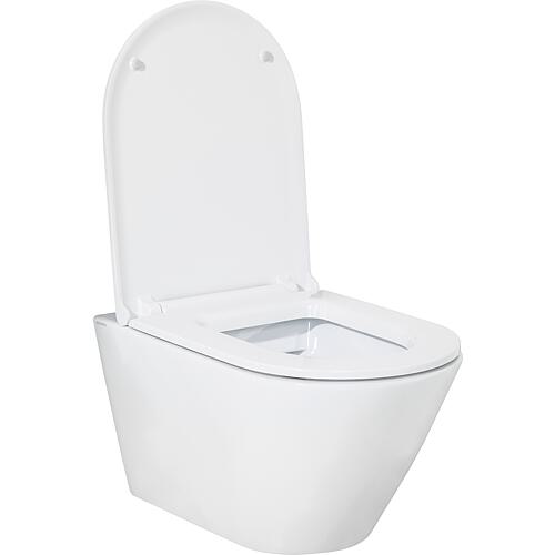 Jacui wall-mounted washdown toilet, rimless Anwendung 2