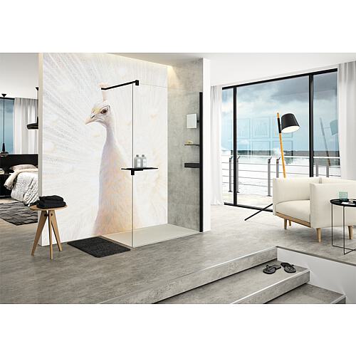 Walk-in glass shower wall Select+ 6 mm Standard 2