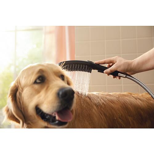 Dog shower Hansgrohe DogShower 150 3-jet Select