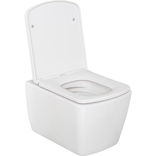 WC suspendu à fond creux Aldoma lxhxp : 360x355x500 mm Sans bord de chasse Céramique blanche