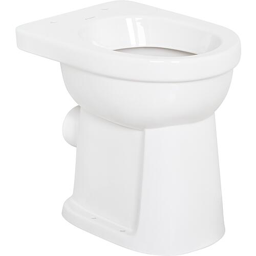 Flush-flush WC Geberit Renova Comfort barrier-free, raised WxHxD: 355x450x475mm, horizontal outlet, white Anwendung 2