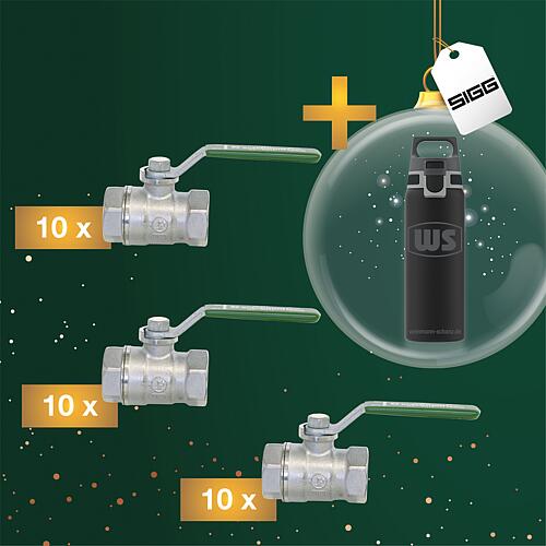 Pack promotionnel Robinet à bille pour eau potable + Gourde SIGG H&C one Light 0,55 l gratuite WS Standard 1