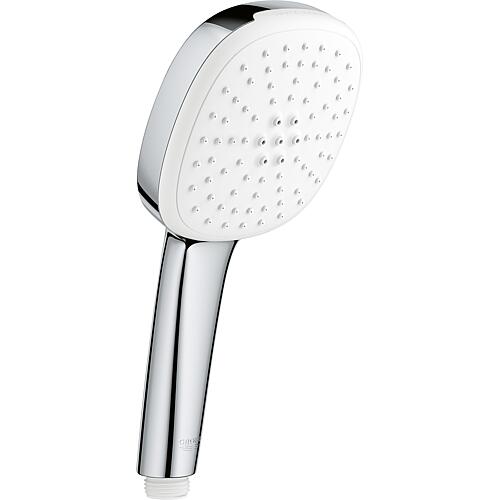 Handbrause Grohe Tempesta Cube 110 Standard 2