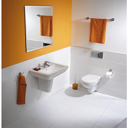 Wall washdown toilet Eurovit, Standard