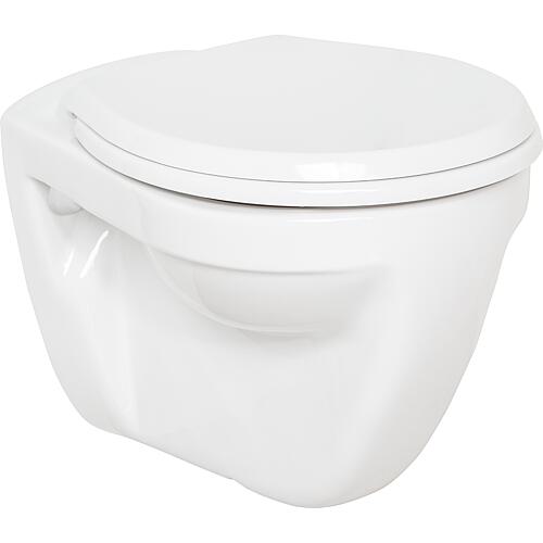 Eurovit wall-mounted flat washout toilet Standard 1