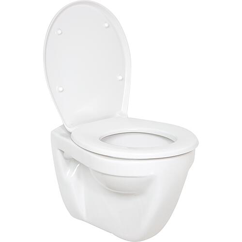 Eurovit wall-mounted flat washout toilet