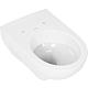 Renova wall-mounted washdown toilet