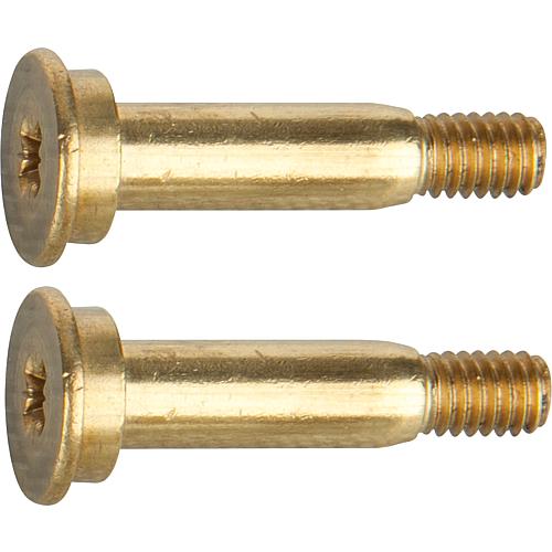 Handle screw Standard 1