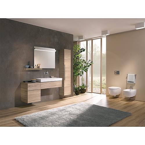 Wall-mounted washdown toilet iCon, rimless