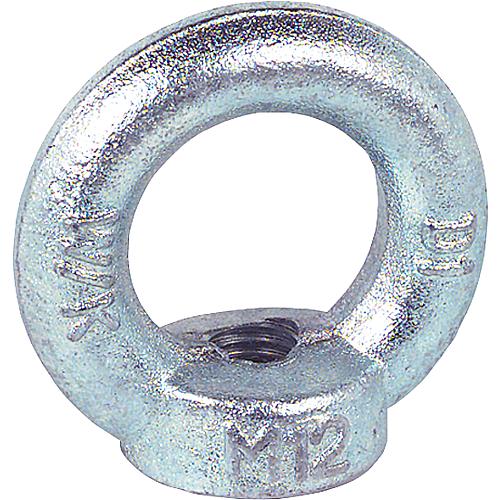 Ring nuts X 15 DIN 582 galvanised Standard 1