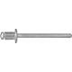 Nirosta/Nirosta blind rivets, standard, flat head ø 4 mm Standard 1