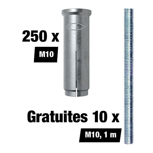 Set promotionnel Fischer Chevilles à frapper EA II - M10, 250 pièces + 10 tiges filetées M8 gratuites