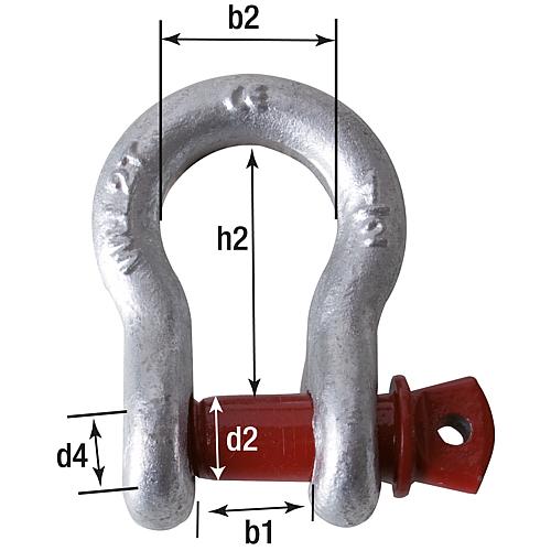 Shackle model HA 2, high-strength