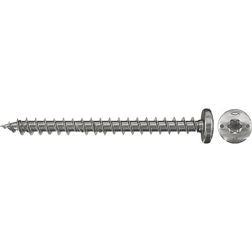 Clamping plate screws Power-Fast 5.0x30 HK A2 VG TX, PU 200