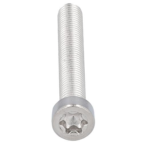 Cylinder screws, TX, low head ISO 14580 Anwendung 1