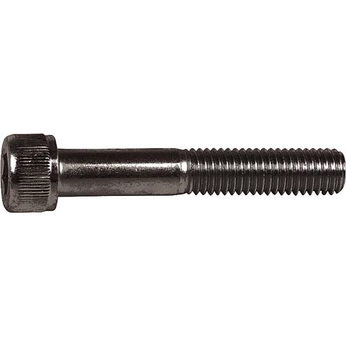 Cylinder screws with hexagonal socket 12.9 DIN EN ISO 4762 blank M 5