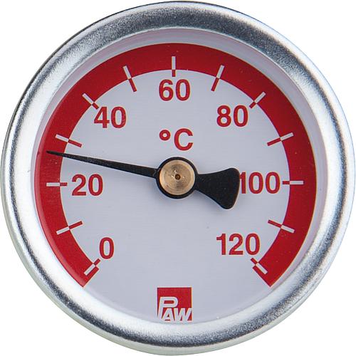 Replacement thermometer