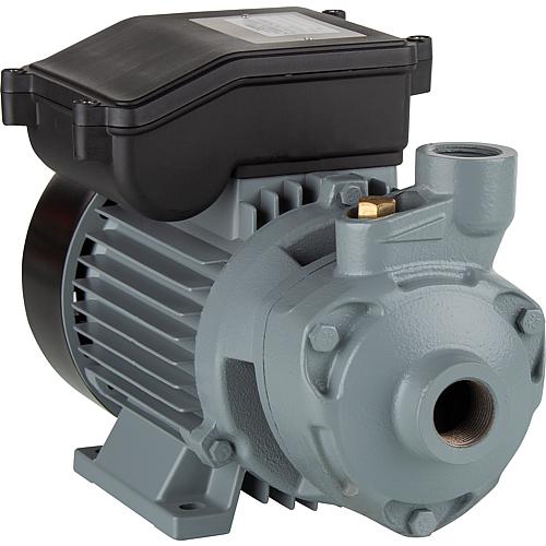 Replacement pump P90 Standard 1