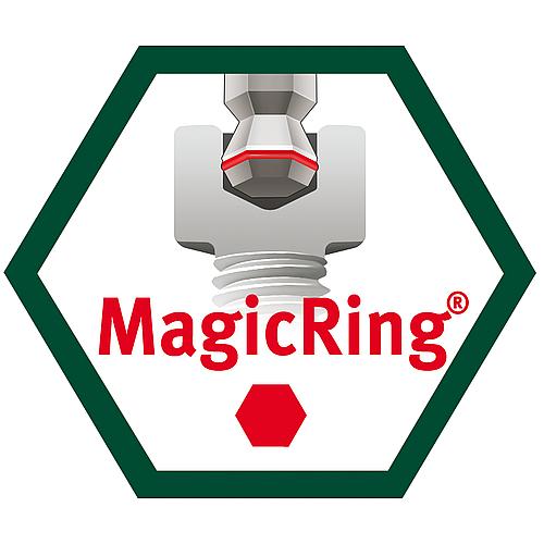 Angle wrench for hexagon socket, long, matt chrome-plated with MagicRing®
